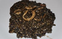 receta-de-cocina-arroz-negro-con-alioli